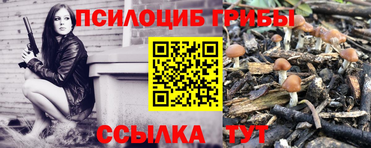 Галлюциногенные грибы Psilocybe Сызрань